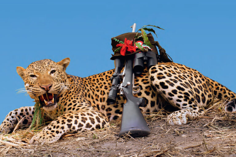 Leopardvarazs