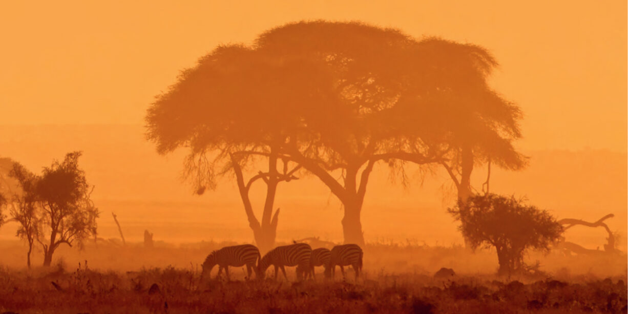 Volt-egy- farmja-Afrikaban