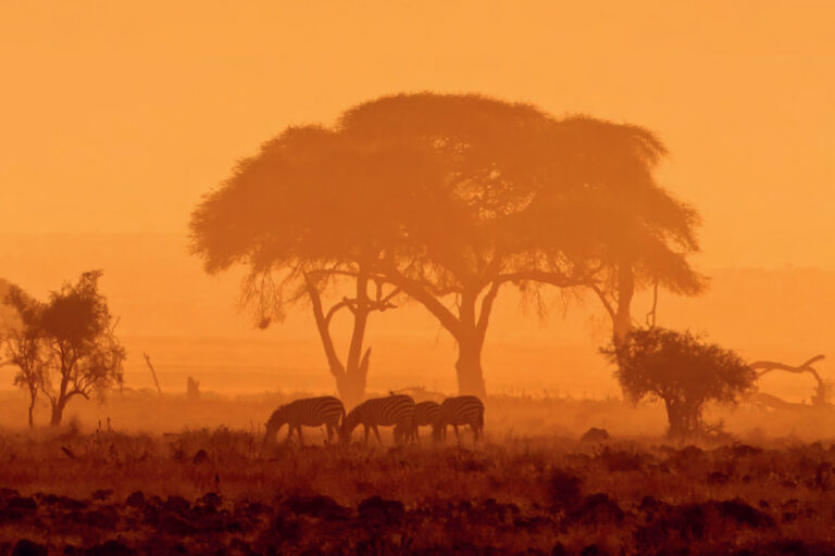 Volt-egy- farmja-Afrikaban