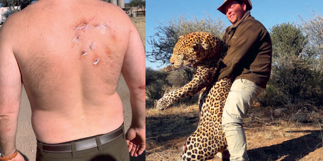 amikor-a-leopard-tamad