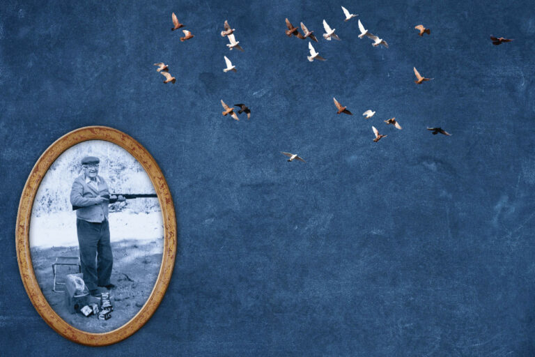 Layout 1