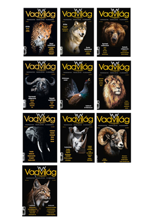 Magazincsomag 1-10 lapszámok