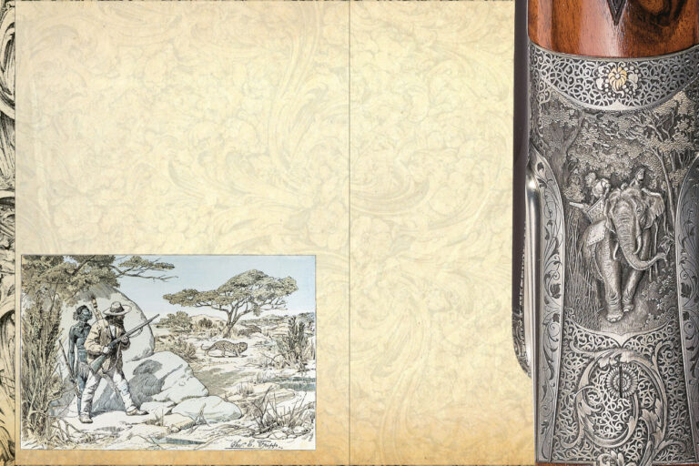 Layout 1