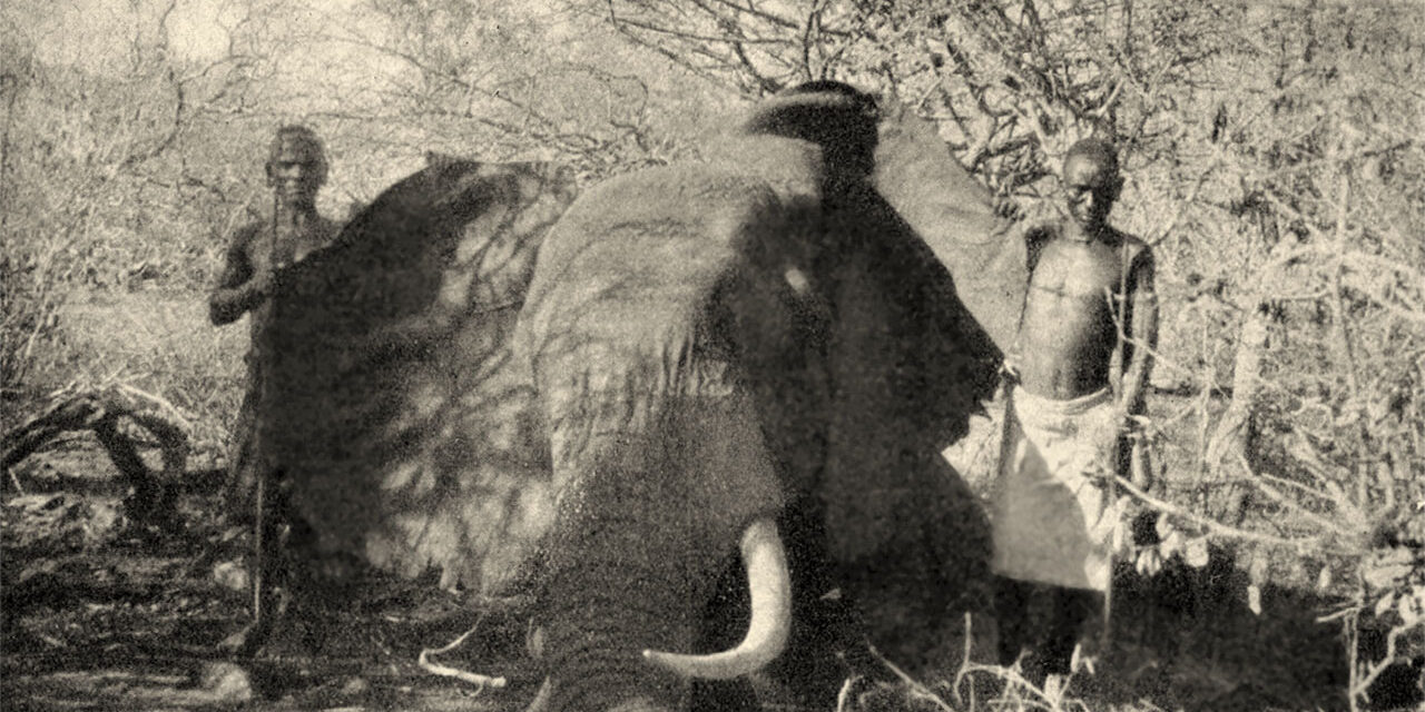 Nimród, 1929 (17. évfolyam, 1-36. szám)