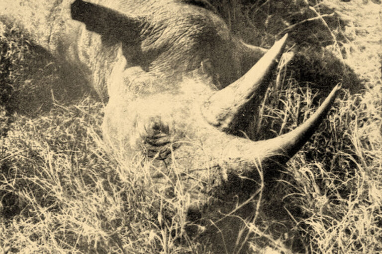 Hajszál híján