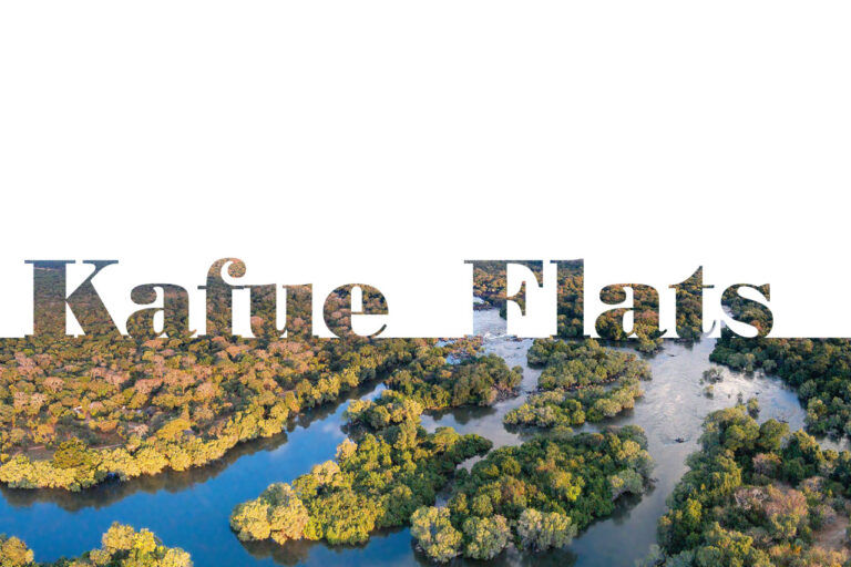 Layout 1