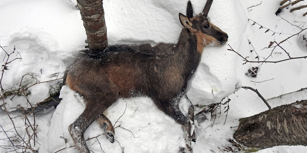 Egy vékony, egy vastag