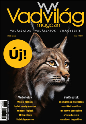 Vadvilág Magazin 11. lapszám